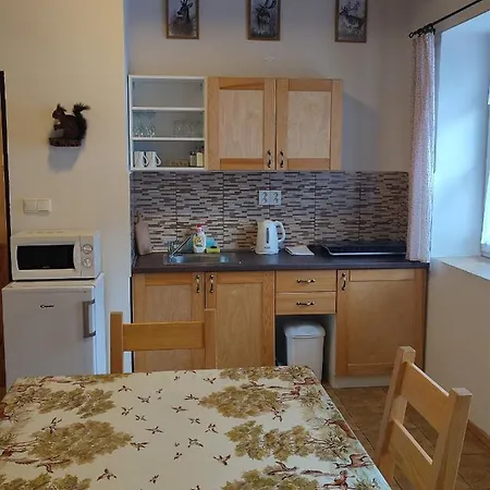 Apartament Pod Vysakem *
