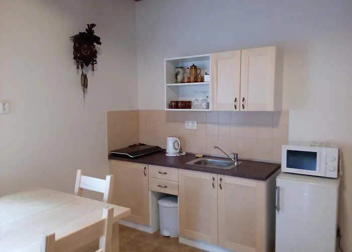 Pod Vysakem Apartment *